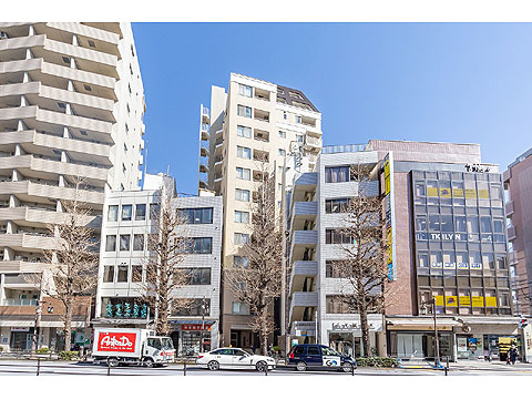 現地外観写真　〇目白通り