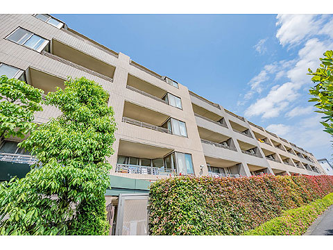 現地外観写真　外観３