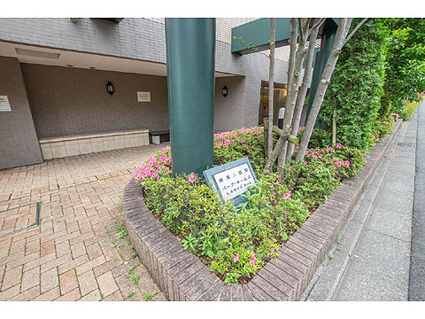 現地外観写真　外観【入口】