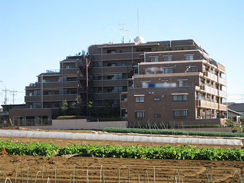 その他共用部　外観3