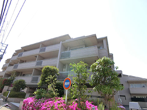 現地外観写真 外観