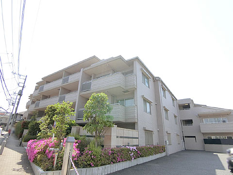 現地外観写真 外観