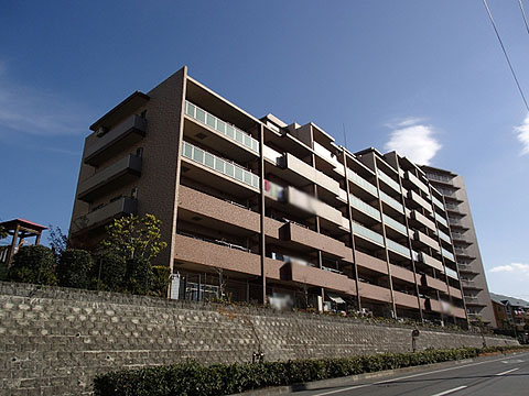 現地外観写真 ◆外観写真 総戸数:223戸の大規模マンション