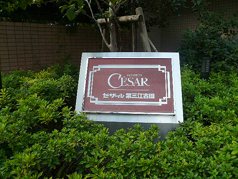 その他共用部　写真1