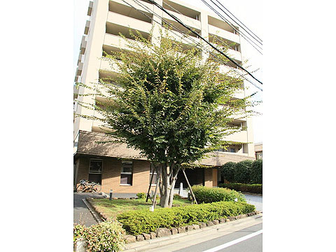 その他共用部　外観３