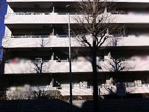 その他共用部 外観2