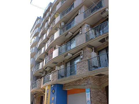 現地外観写真 外観1東側