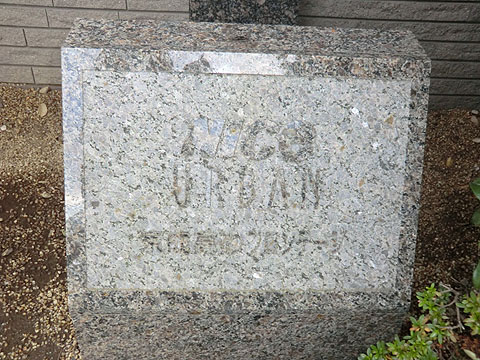 その他共用部 写真1