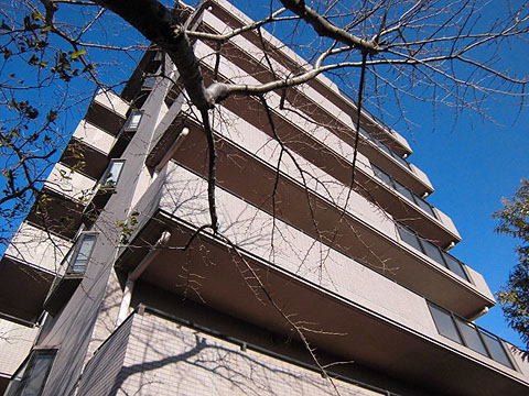 その他共用部　外観3