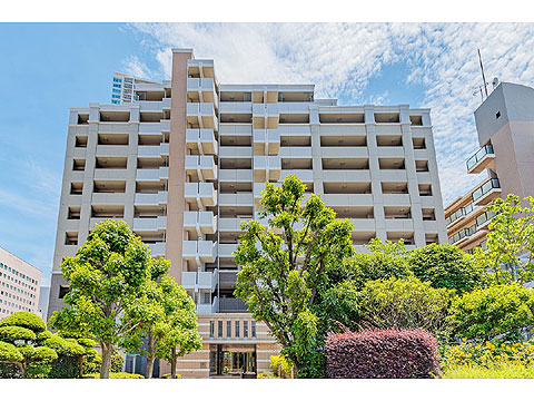 現地外観写真 外観