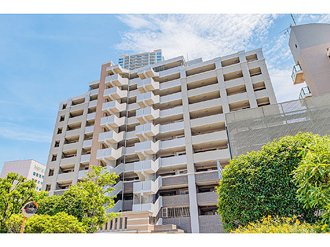 現地外観写真 LIONS STATION PLAZA TUD