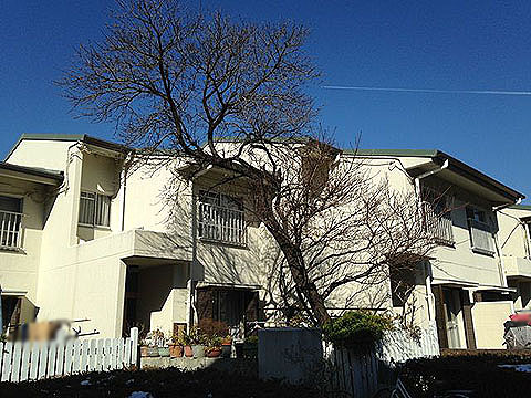 その他共用部　外観2