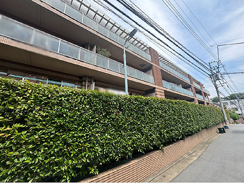 現地外観写真　現地外観写真