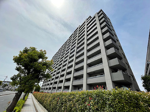 現地外観写真 外観