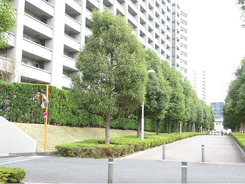 現地外観写真 整備された歩道と建物外観2