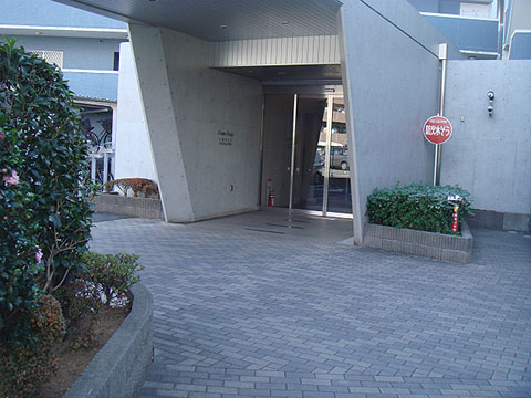 その他共用部 エントランス1