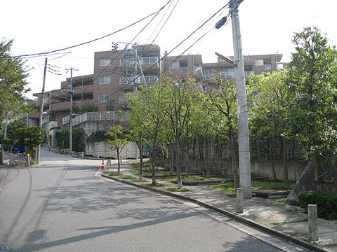 現地外観写真　外観