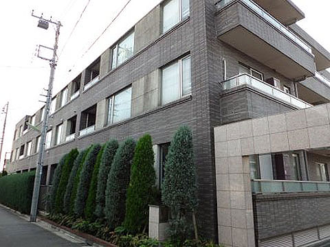 現地外観写真 外観東側