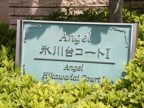 その他共用部　写真1