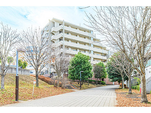 現地外観写真　外観２