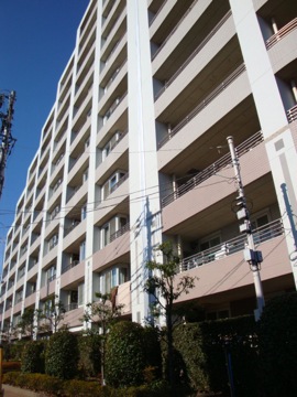 その他共用部 外観5