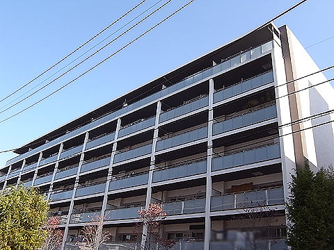 現地土地写真　外観