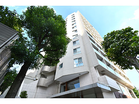 現地外観写真 マンション外観