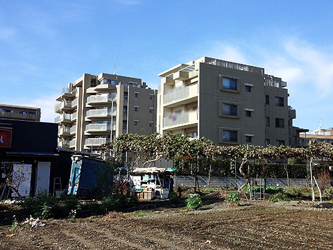 その他共用部 外観3