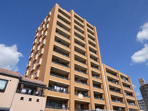 現地外観写真 外観1 P1010559