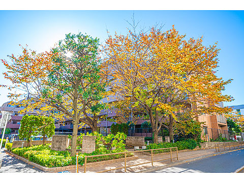 現地外観写真 敷地内提供公園