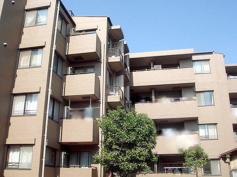 現地外観写真 外観