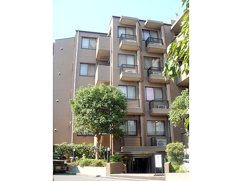 現地外観写真 外観