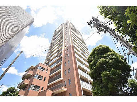 現地外観写真 外観