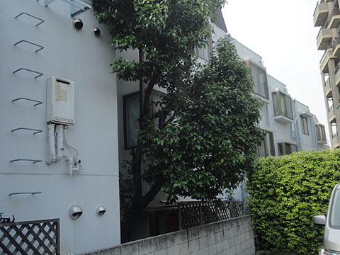 その他共用部　外観4