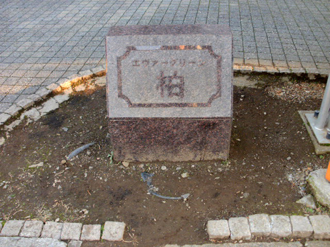 その他共用部 写真1