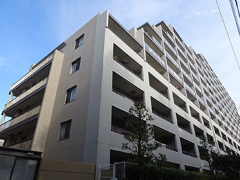 現地外観写真 マンション南側外観