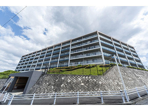 現地外観写真　外観３