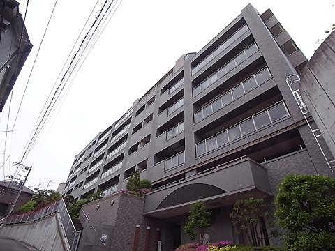 現地外観写真 外観