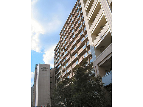 現地外観写真 マンション外観