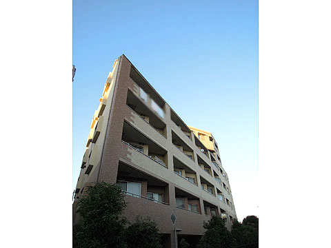 現地外観写真 外観1