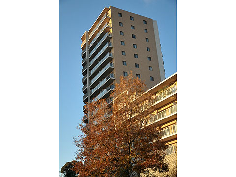 その他共用部　外観３