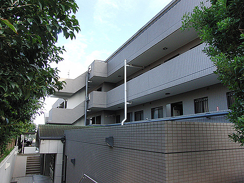 現地外観写真 外観