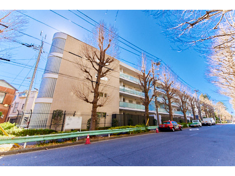 その他共用部 エントランス1