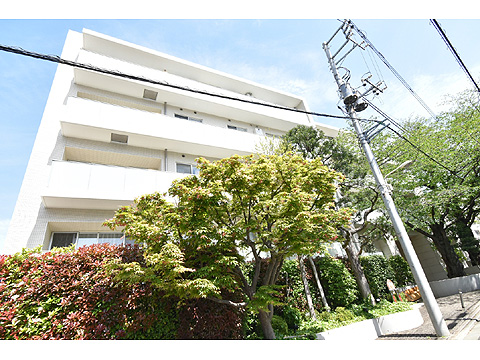 現地外観写真　DSC_0122