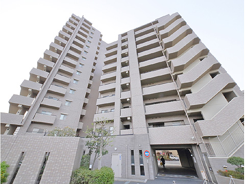 現地外観写真　サーパスシティ柏 (2)