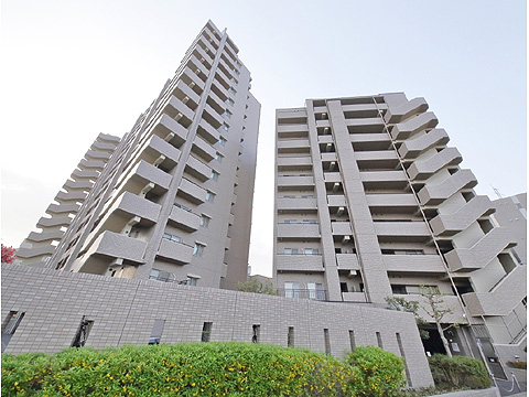 現地外観写真　サーパスシティ柏 (3)