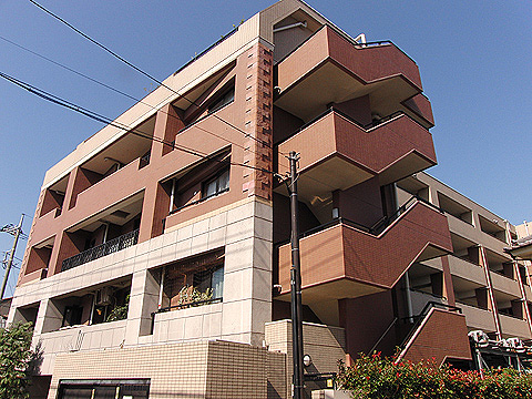 現地外観写真 外観