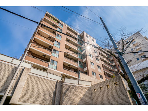 現地外観写真 外観4