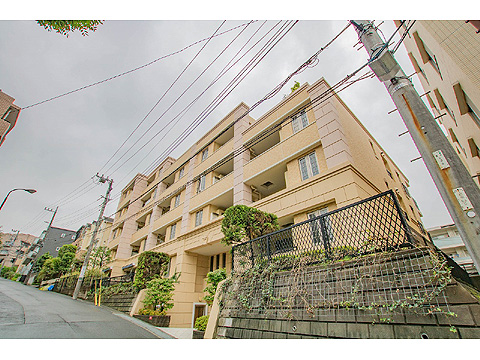 現地外観写真 外観