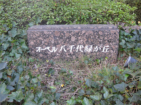 その他共用部　写真1